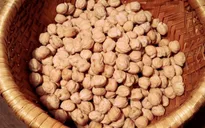Những thực phẩm có nhiều canxi hơn cả một ly sữa