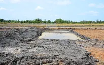 Chủ động phòng chống thiên tai - Giải pháp chống biến đổi khí hậu tại Cà Mau
