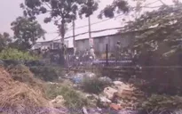 Điều tra việc bé sơ sinh bị bỏ rơi ở bãi đất trống bị lợn rừng tha