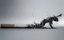 Thuốc lá và những tác hại khó lường