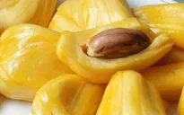 Chia sẻ kinh nghiệm nhận biết mít chín cây