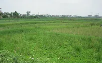 Hà Nội chuẩn bị đấu giá hàng trăm ha đất
