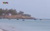 Bị tàn phá, rạn san hô Hòn Đỏ "kêu cứu"