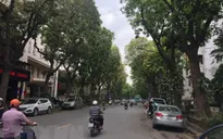 Hà Nội: Di chuyển cây xanh để thi công nhà ga S10 và S12