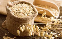 Các công dụng của yến mạch