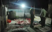 Bắt hai cơ sở giết mổ lợn lậu dưới sàn nhà dơ bẩn tại Đồng Nai