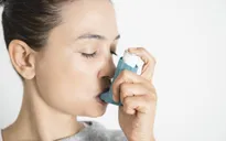 Người viêm mũi dị ứng, hen suyễn có nhiều rủi ro bị rối loạn tâm thần