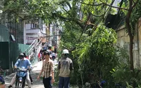 Hãi hùng: Cẩu trục xây dựng rơi trúng quán trà đá