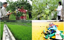 Phê duyệt Chương trình mỗi xã một sản phẩm giai đoạn 2018 - 2020