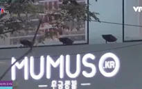 Truyền thông Hàn nghi ngờ Mumuso đến từ Trung Quốc