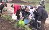Khoảng 40.000 người dân tham gia Ngày dọn dẹp tại Estonia