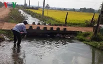 Rủ nhau tắm mương, một học sinh lớp 4 chết đuối thương tâm