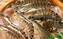 Bí quyết bỏ túi chọn tôm ngon cho bữa ăn gia đình