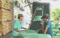 Nâng cao chỉ số năng lực cạnh tranh của ĐBSCL
