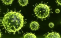 Virus cổ đại khiến 5.000 người Australia có nguy cơ bị ung thư máu