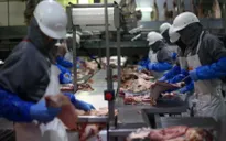 Thịt lợn Mỹ "gặp khó" khi vào thị trường Trung Quốc