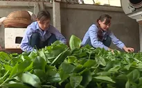 Ngành thuế hỗ trợ hộ kinh doanh lên doanh nghiệp