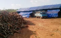 Đắk Nông: Kiểm tra, xử lý các lò than tự phát hoạt động trong khu dân cư