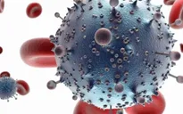 Cảnh báo virus cổ đại khiến 5000 người Australia có nguy cơ ung thư máu