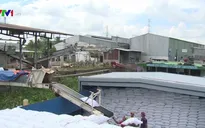 Việt Nam trúng thầu xuất khẩu gạo sang Philippines