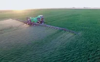 Nhiều nước EU kêu gọi nghiên cứu sản phẩm thay thế chất diệt cỏ Glyphosate