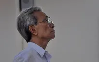 Xét xử giám đốc thẩm vụ dâm ô trẻ em ở Vũng Tàu
