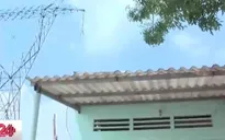 Bình Dương: Hàng chục phòng trọ mọc ngay dưới đường điện cao thế
