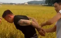 Bắt giữ các đối tượng côn đồ bảo kê máy gặt lúa