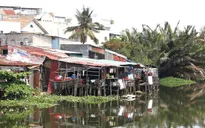 TP.HCM nghiêm cấm san lấp kênh rạch tại các dự án