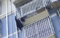 “Người nhện” leo 5 tầng cứu bé trai treo lơ lửng trên tầng 5 tòa nhà