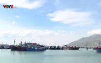 Tàu dịch vụ nằm bờ, ngư dân nợ chồng chất