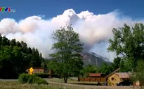 Hàng nghìn người tại Colorado (Mỹ) sơ tán vì cháy rừng dữ dội