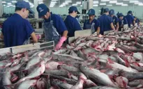 Cấp bách xây dựng thương hiệu tôm và cá tra