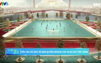 Yêu cầu bảo vệ bản quyền World Cup 2018 khi tiếp sóng