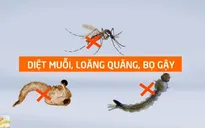 Cách phòng bệnh sốt xuất huyết hiệu quả khi bệnh vào mùa