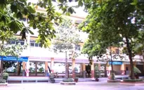 TP.HCM: Thầy giáo bị tố xâm hại 12 học sinh tiểu học suốt 2 năm
