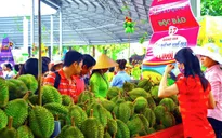 350 tấn trái cây được tiêu thụ tại lễ hội Trái cây Nam Bộ