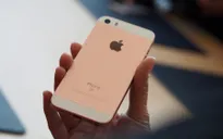 Apple im tiếng: Sẽ không có iPhone SE 2?