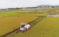 Nghệ An: Khởi tố 2 đối tượng chuyên "làm luật" bảo kê máy gặt lúa
