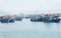 Ngư dân bị lừa khi thuê lao động đi biển