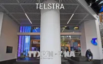 Tập đoàn viễn thông Telstra thông báo cắt giảm 1/4 nhân công