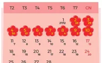 Nghỉ Tết Âm lịch 2019 có thể tới 9 ngày: Người thích, người e ngại