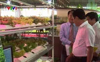 20 tỉnh, thành tham dự Hội chợ Triển lãm giống và nông nghiệp công nghệ cao TP.HCM