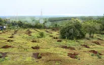 Khởi tố 4 bị can liên quan vụ 'mất' gần 3.000 ha đất lâm nghiệp, đất rừng tại Gia Lai