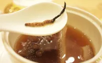 Không có vàng hay kim cương, món ăn này vẫn nằm trong top “đắt nhất thế giới”