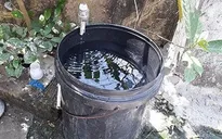 Đảo Cát Bà đứng trước nguy cơ thiếu nước ngọt