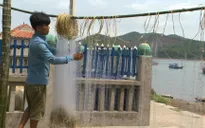 Hỗ trợ ngư dân từng bước vượt khó sau tai nạn biển