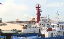 Cụm cảng Cái Mép tăng chuyến hàng hóa trực tiếp qua Mỹ và châu Âu