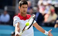 Djokovic cán mốc 800 trận thắng trong sự nghiệp
