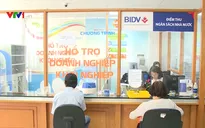 Tăng cường điện tử hóa công tác quản lý thuế
